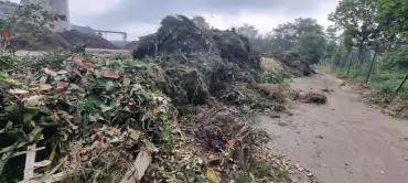 D&eacute;chets Verts : ils se recyclent aussi